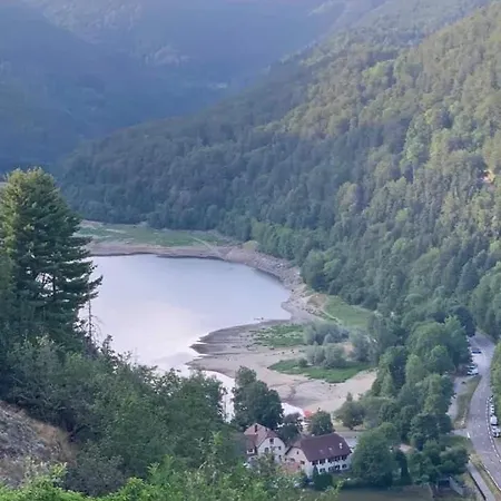 Petite Maison Au Calme Avec Jardin Cloture Les Animaux Bienvenue * Mollau