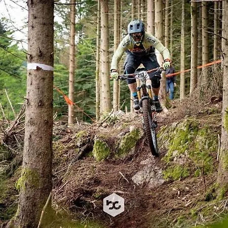 Petite Maison Au Calme Avec Jardin Clôturé Les Animaux Bienvenue Casa de Férias Mollau
