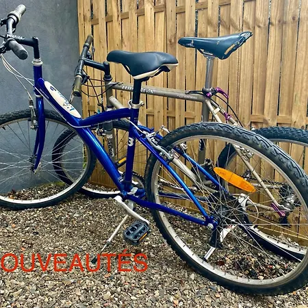 別荘 Petite Maison Au Calme Avec Jardin Cloture Les Animaux Bienvenue Mollau