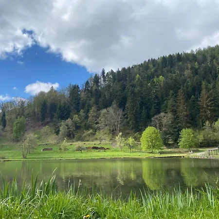 Petite Maison Au Calme Avec Jardin Cloture Les Animaux Bienvenue *