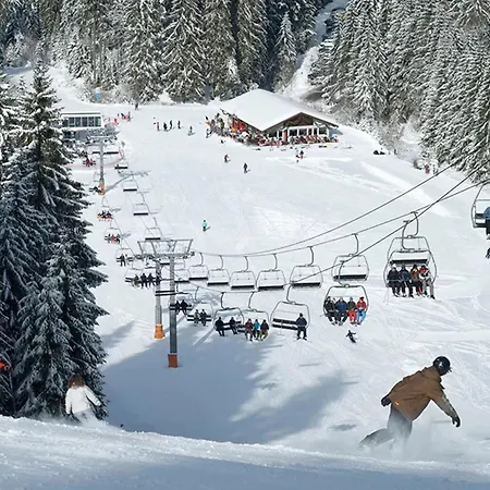 Petite Maison Au Calme Avec Jardin Cloture Les Animaux Bienvenue * Mollau