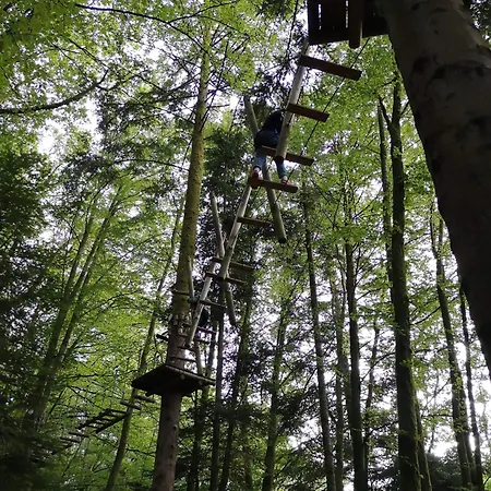 Petite Maison Au Calme Avec Jardin Cloture Les Animaux Bienvenue * Mollau