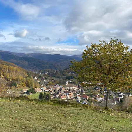 Petite Maison Au Calme Avec Jardin Cloture Les Animaux Bienvenue Mollau