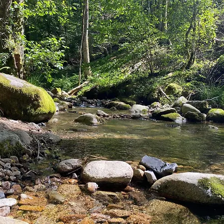 Petite Maison Au Calme Avec Jardin Cloture Les Animaux Bienvenue 別荘 Mollau